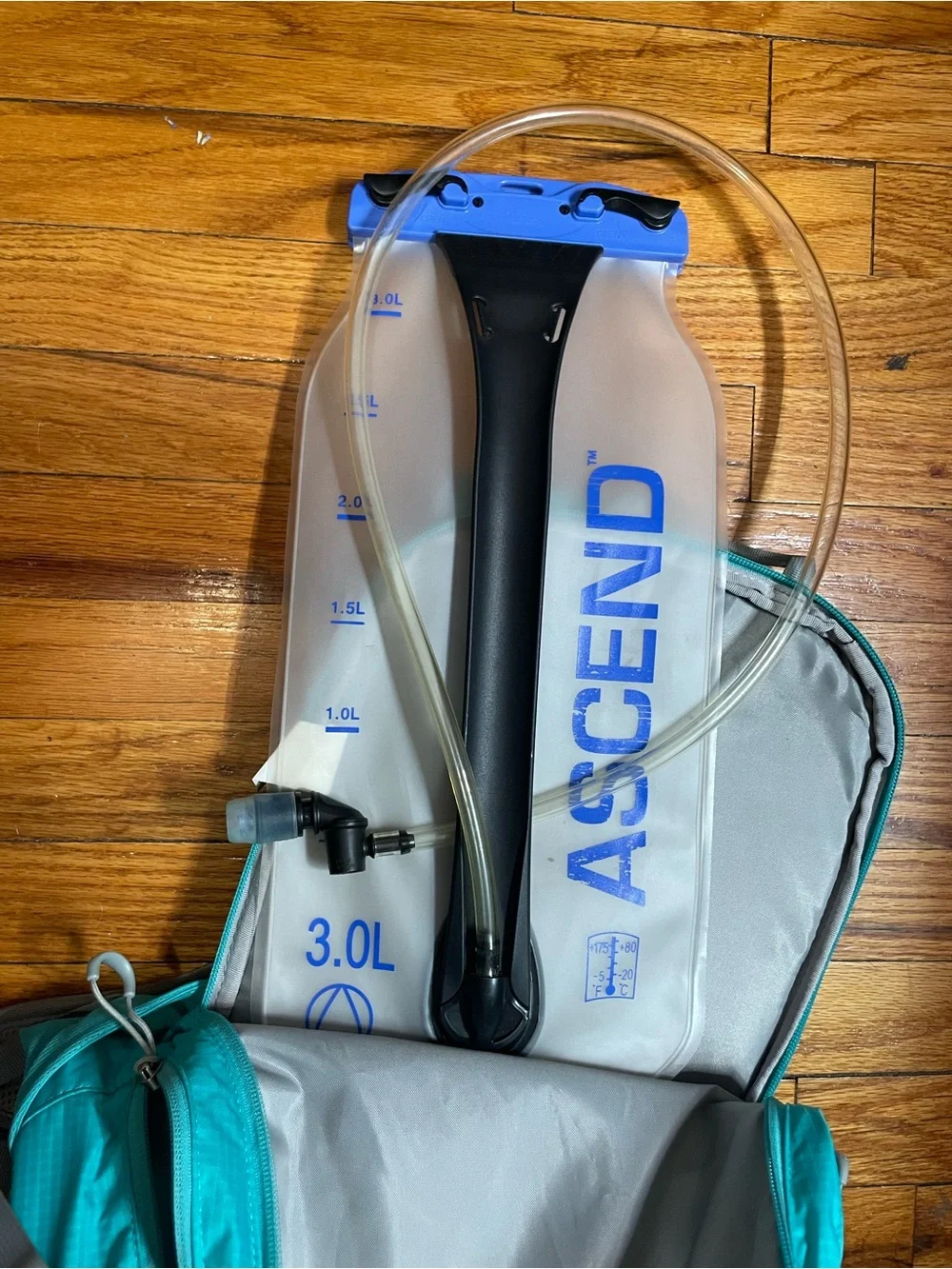 Ascend curve women’s
